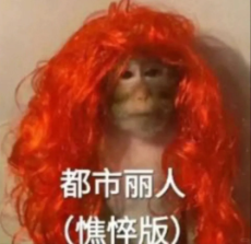 QQ20251217-105151.png