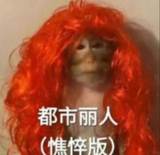 QQ20251022-093157.png QQ20251022-093157.png