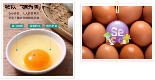 QQ20251017-152050.png