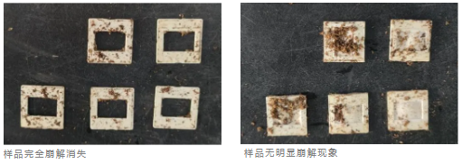 QQ20260206-105033.png QQ20260206-105033.png