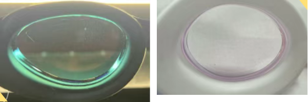 QQ20250728-101618.png