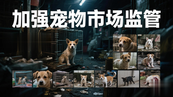 QQ20250430-105138.png QQ20250430-105138.png