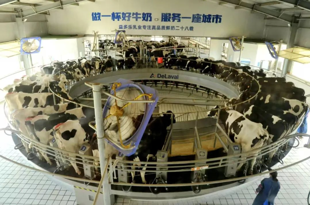 截图20240912162118.png