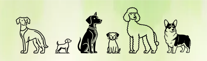 QQ20260327-152823.png QQ20260327-152823.png