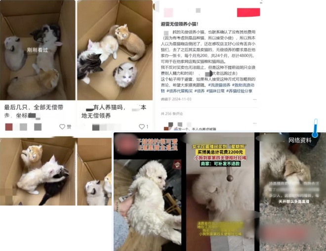 QQ20250126-110013_副本.jpg QQ20250126-110013_副本.jpg
