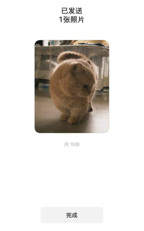 QQ20260806-104708.png QQ20260806-104708.png