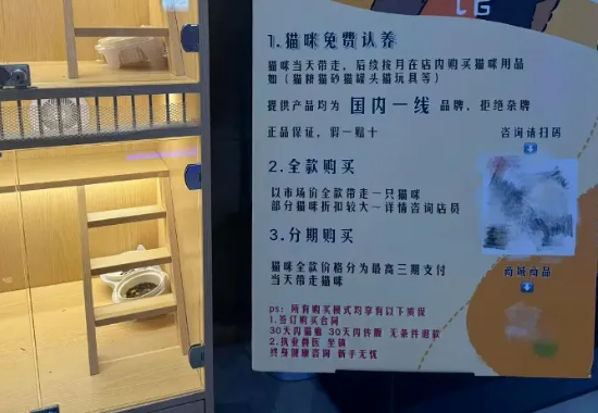 QQ20241101-143737.png