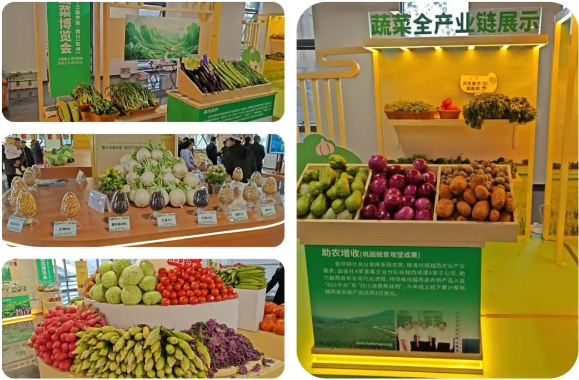截图20241126090410.png 截图20241126090410.png