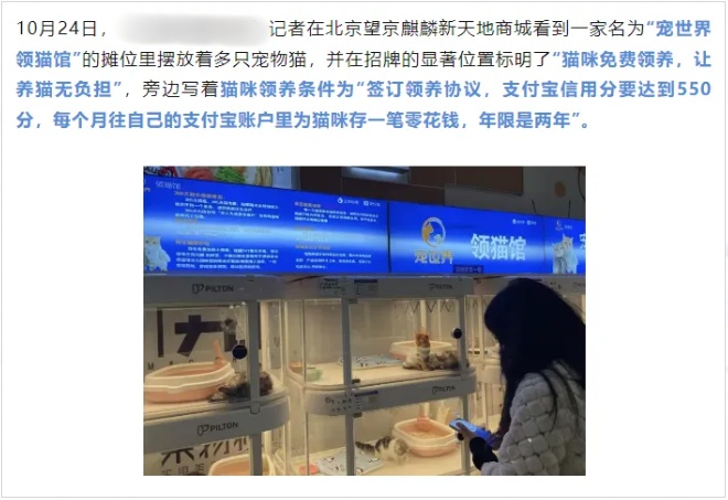 QQ20241101-143900_副本.jpg