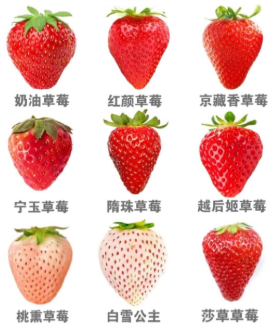 QQ20250414-102728.png QQ20250414-102728.png