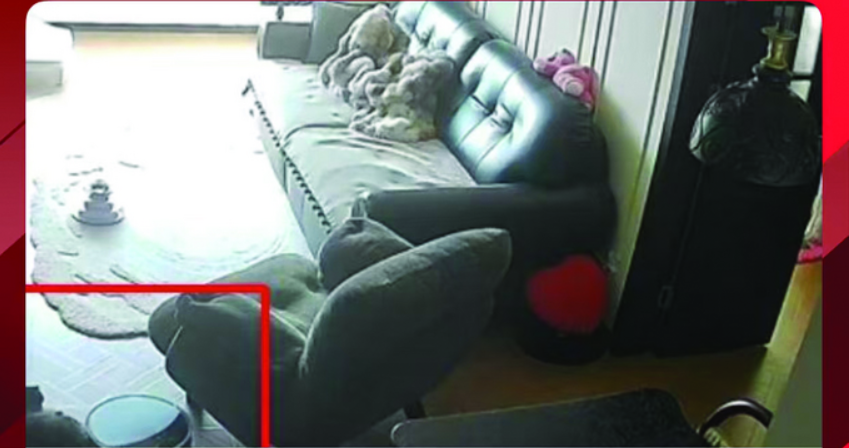 QQ20260310-153308.png
