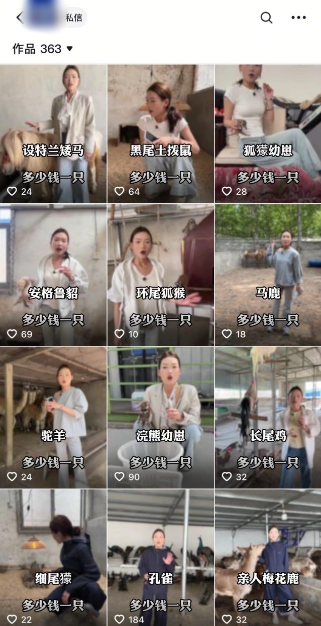 QQ截图20250604162910_副本.jpg QQ截图20250604162910_副本.jpg