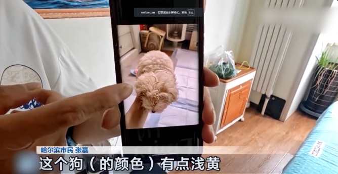 QQ20260804-163948_副本.jpg