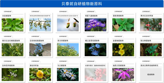 QQ20251209-093928.png