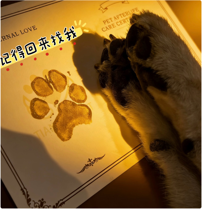 QQ20260130-100653.png QQ20260130-100653.png