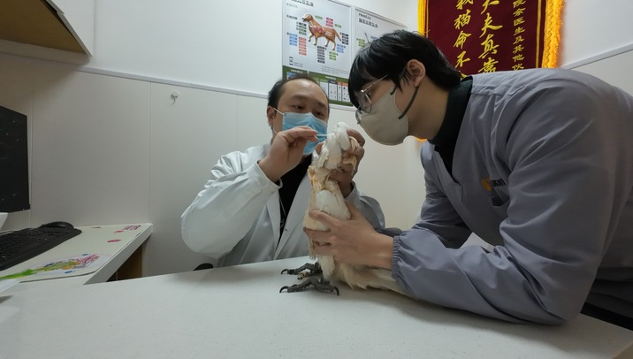 QQ20250611-145341.png QQ20250611-145341.png