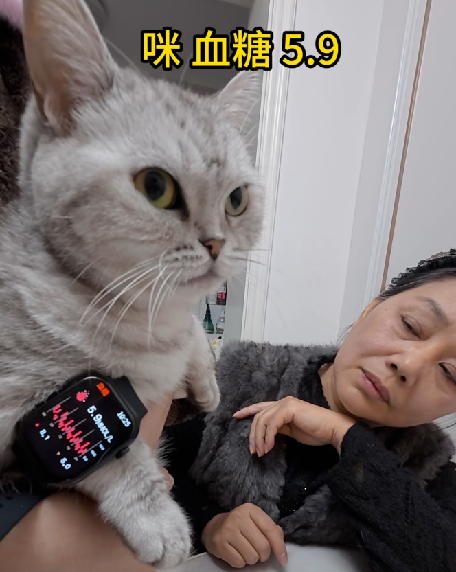 QQ截图20260108145231_副本.jpg QQ截图20260108145231_副本.jpg