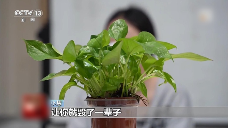 QQ20260616-161234_副本.jpg QQ20260616-161234_副本.jpg