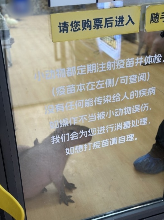 QQ20250604-162843_副本.jpg QQ20250604-162843_副本.jpg