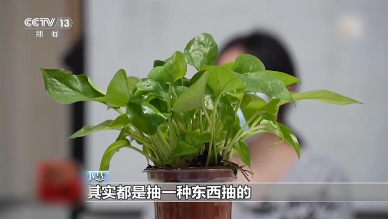 QQ20260616-161156_副本.jpg QQ20260616-161156_副本.jpg