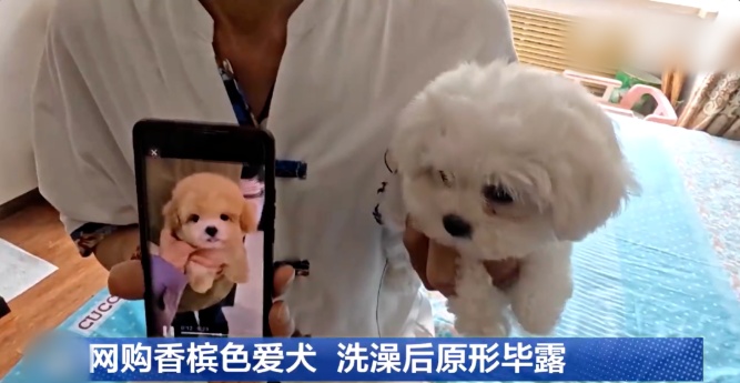 QQ20260804-163936_副本.jpg