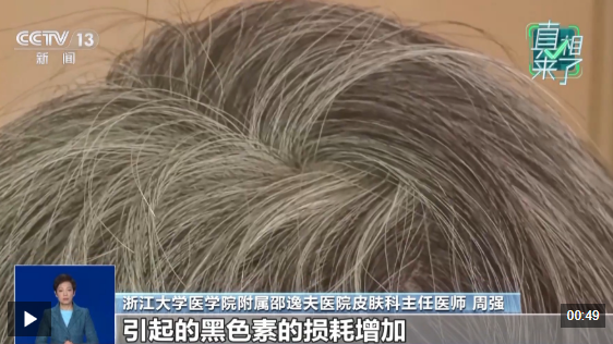 QQ20260129-161717.png QQ20260129-161717.png