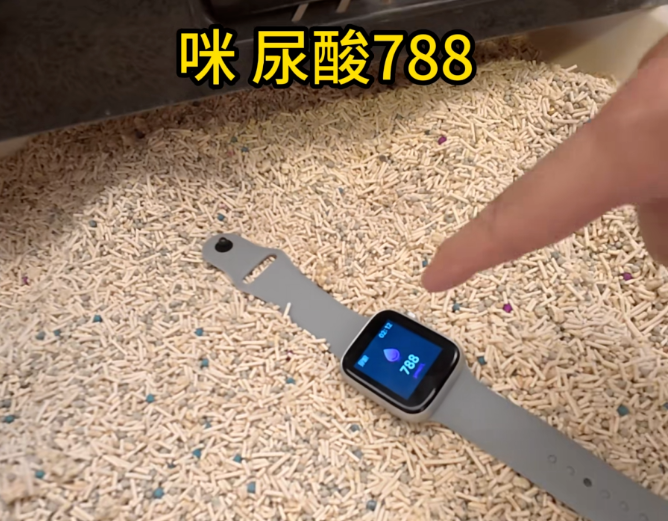QQ20260108-145355.png QQ20260108-145355.png
