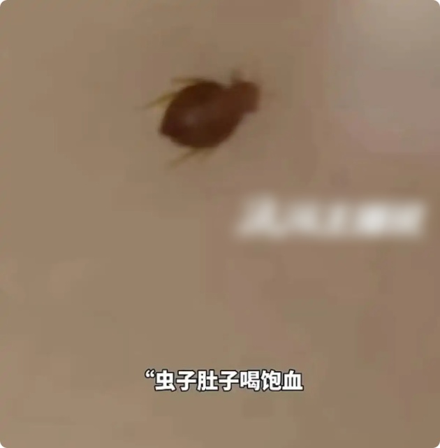 QQ20260807-100824_副本.jpg QQ20260807-100824_副本.jpg