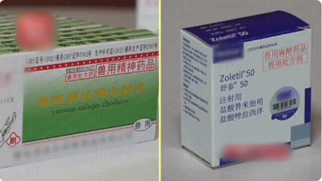 QQ20260825-163811_副本.jpg QQ20260825-163811_副本.jpg