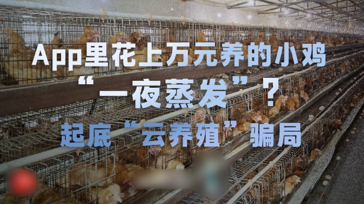 QQ20250724-153536_副本.jpg
