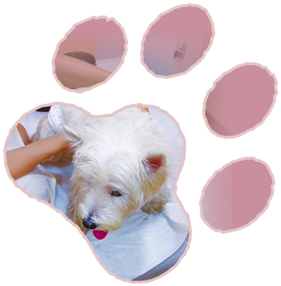 QQ20260610-130045.png QQ20260610-130045.png