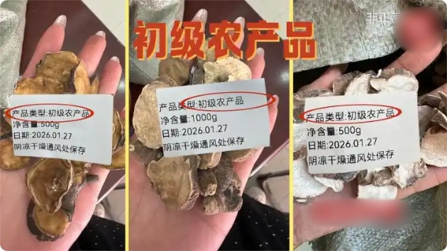 QQ20260730-100148_副本.jpg