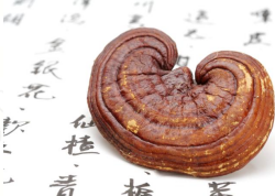 QQ20260916-140019.png QQ20260916-140019.png