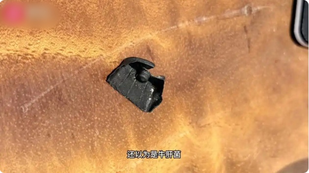 QQ20260911-164035_副本.jpg